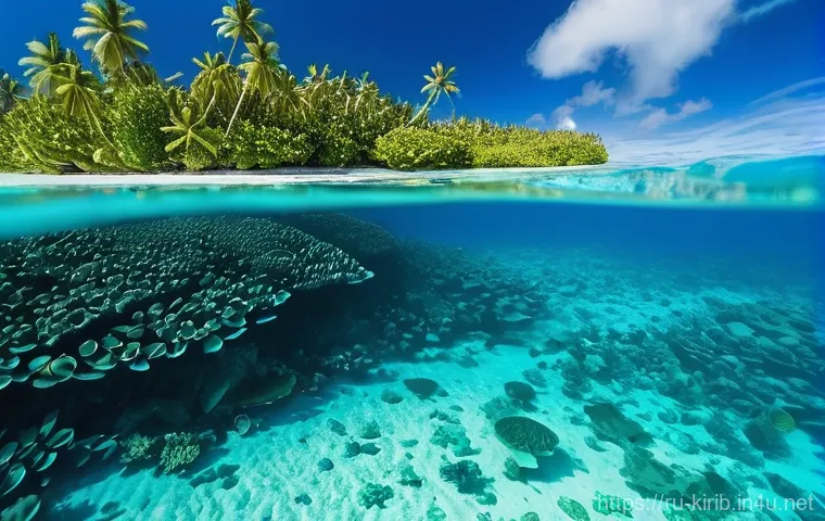키리바시 최고의 스노클링 스팟 - Here are three detailed image prompts in English, inspired by the provided text about Kiribati, adhe...